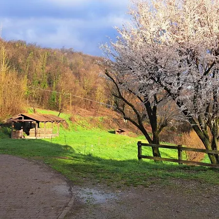 Cascina Fazioli * Альфьяно-Натта