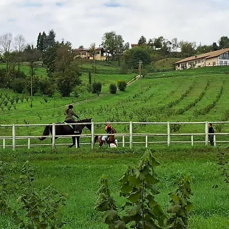 Cascina Fazioli Çiftlik konaklama Alfiano Natta