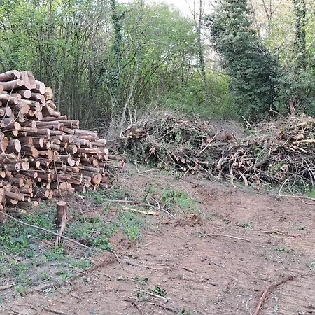 Çiftlik konaklama Cascina Fazioli Alfiano Natta