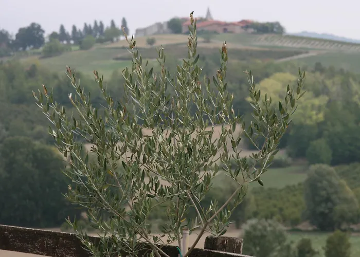 Farma Cascina Fazioli